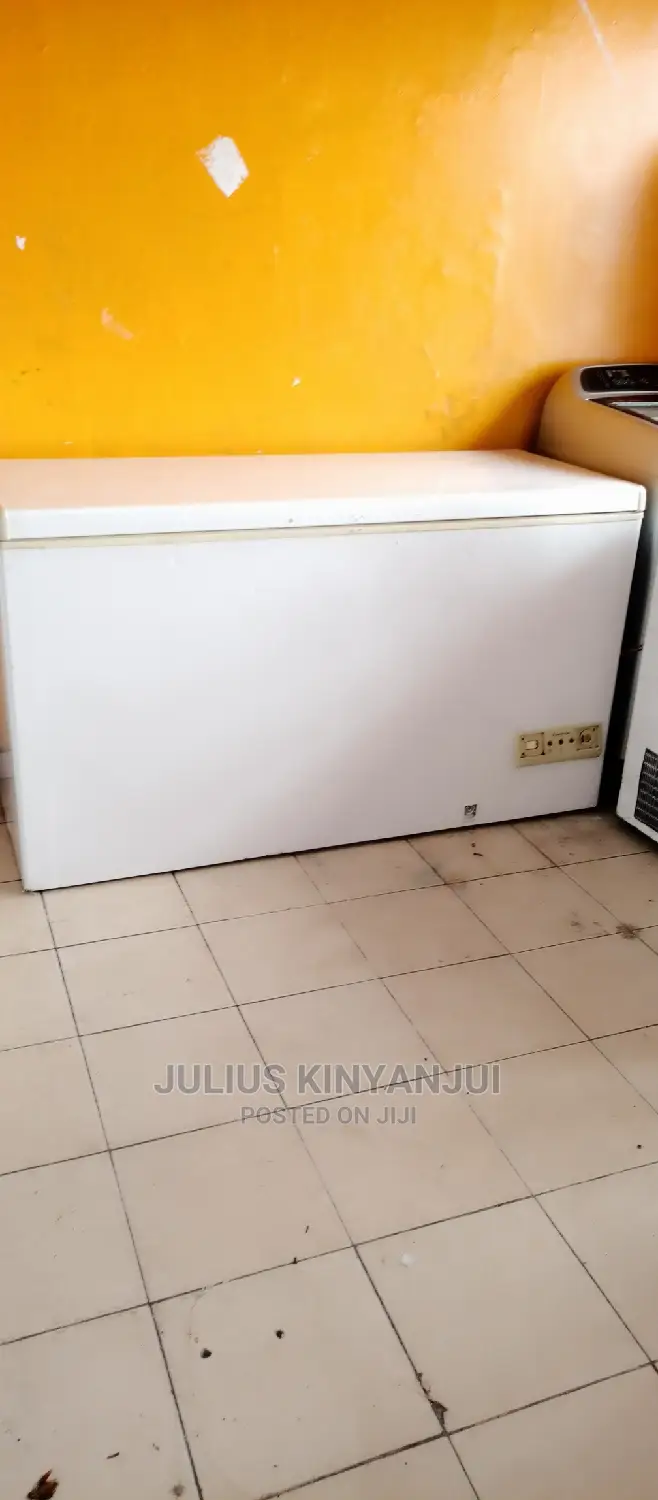 Deep Freezer 500L