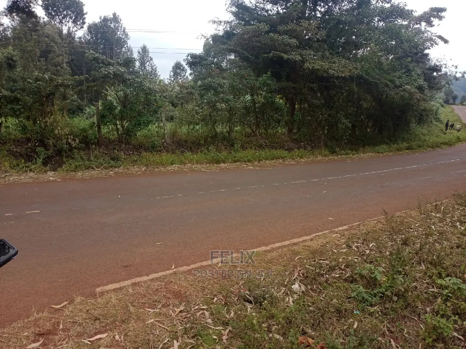 Karatina /Half Acre Touching Tarmac