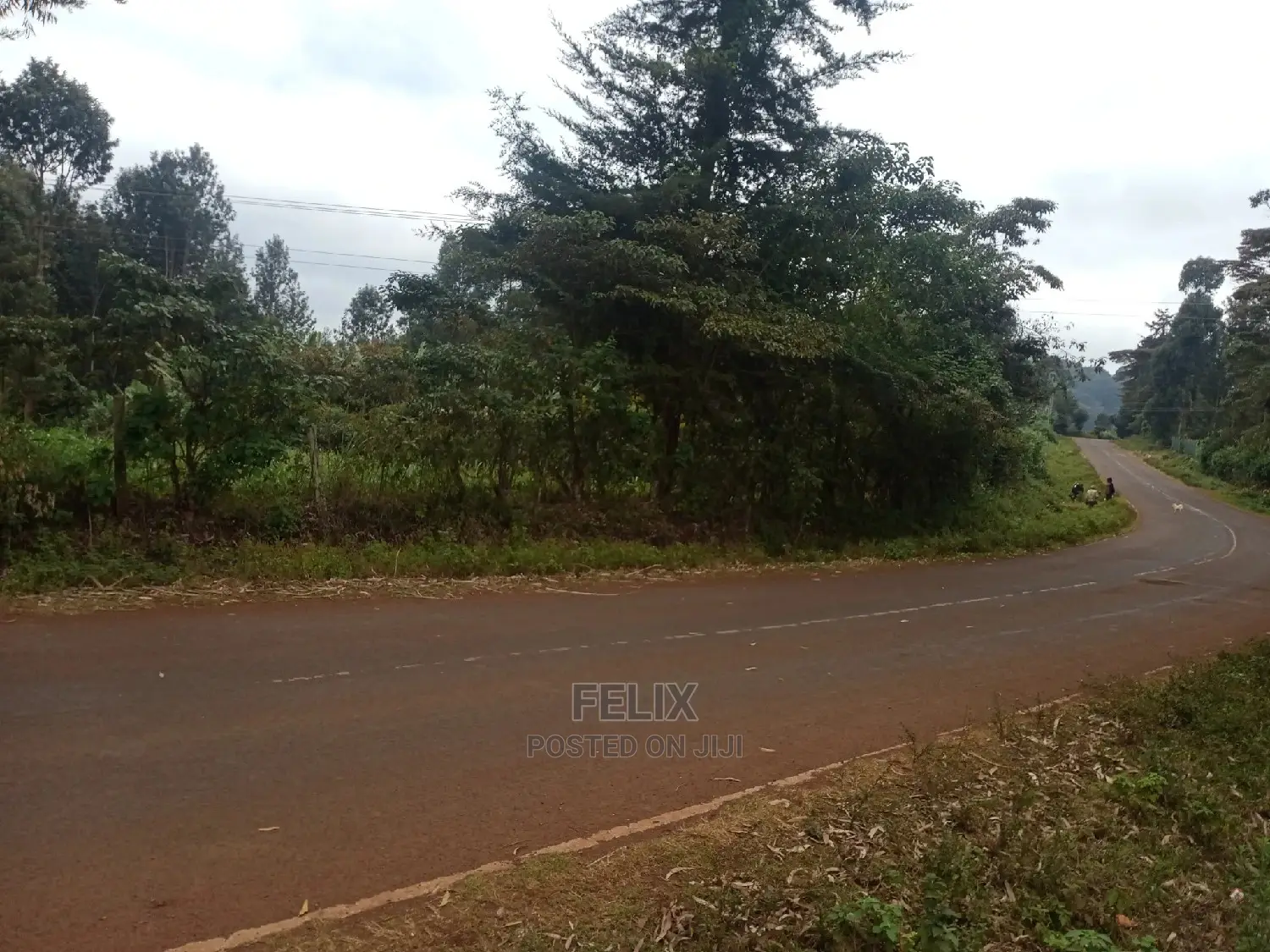 Karatina /Half Acre Touching Tarmac