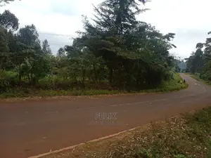 Karatina /Half Acre Touching Tarmac