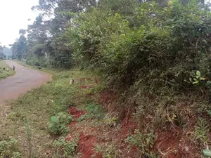 Karatina /Half Acre Touching Tarmac