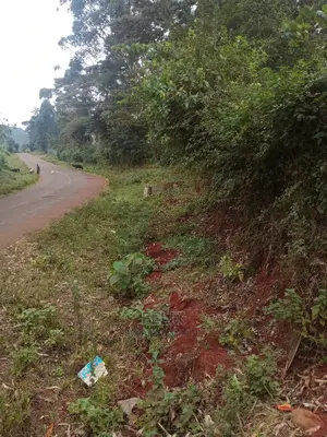 Karatina /Half Acre Touching Tarmac