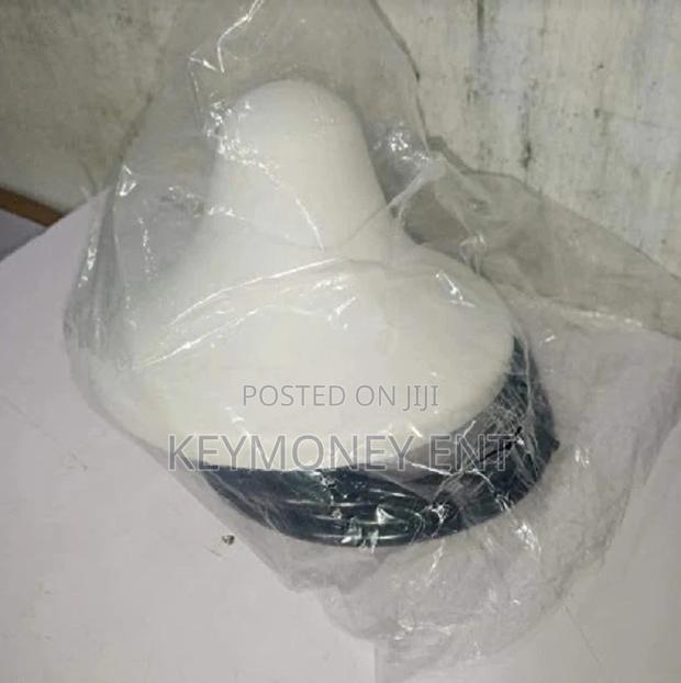 GSM Signal Booster Indoor Mushrooms