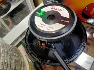 Naked Speaker
