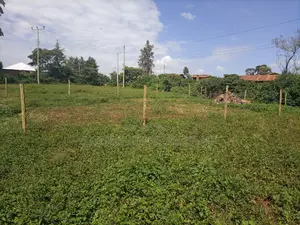 1/8 Plot Kimumu Betterfar 100 Metres From Tarmac