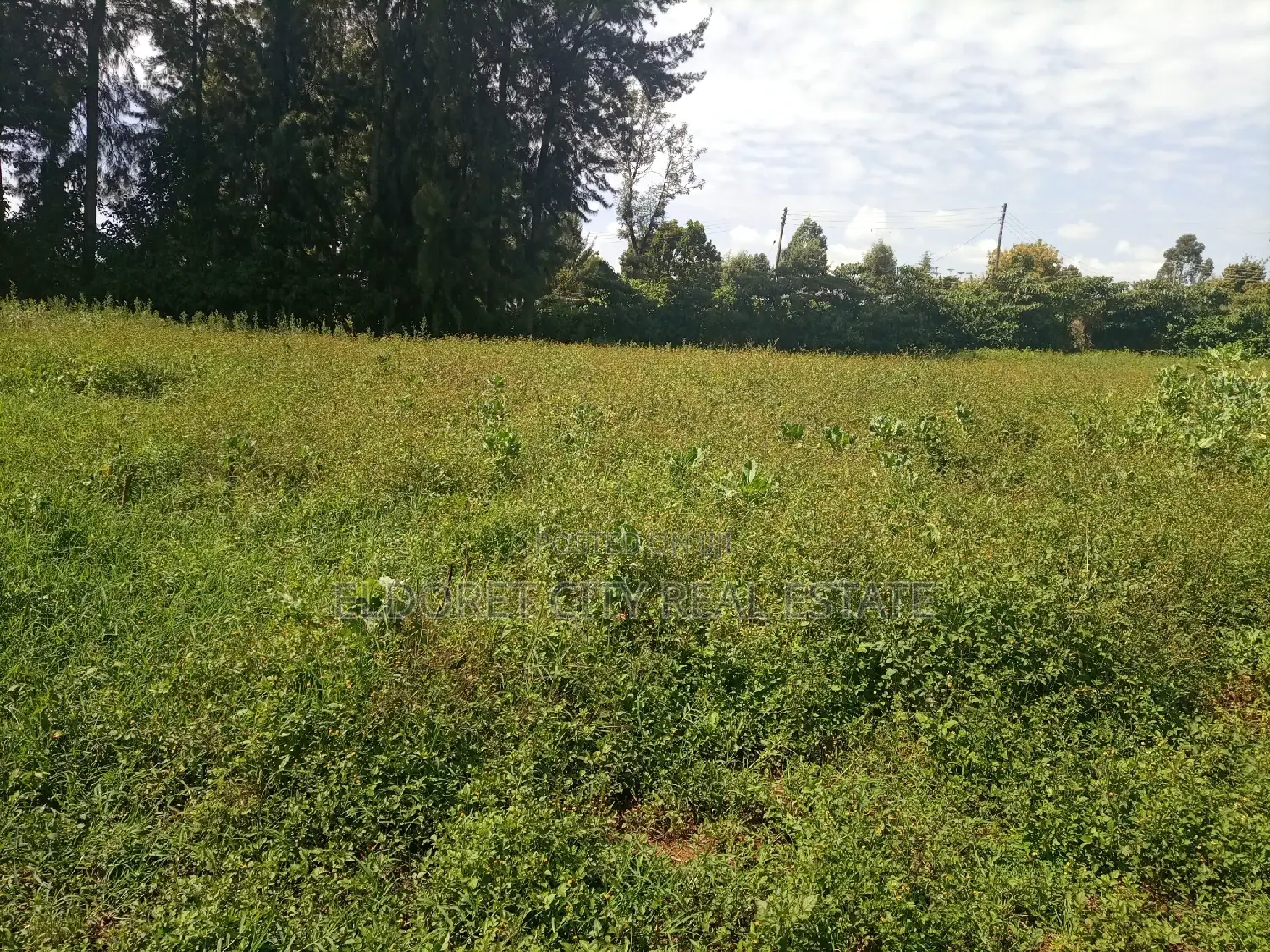 1/4 Plot Kaplelach 150metres From Tarmac