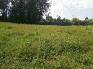 1/4 Plot Kaplelach 150metres From Tarmac