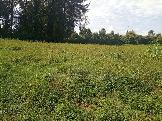 1/4 Plot Kaplelach 150metres From Tarmac