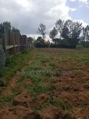 1/4 Plot Annex With Title 100 Metres From Second. Tarmac