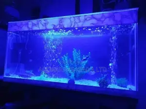Superb Aquarium ,Customed To Your Likeness. Aquarium Tank