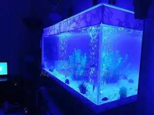 Vastu Shastra Fish Aquarium Compliant
