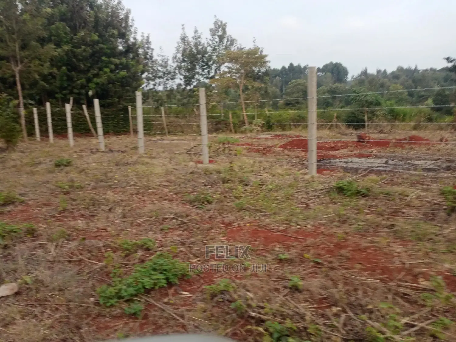 Nyeri Marua/Neighboring Bantu Africa Quarter Plots