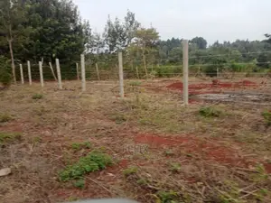 Nyeri Marua/Neighboring Bantu Africa Quarter Plots