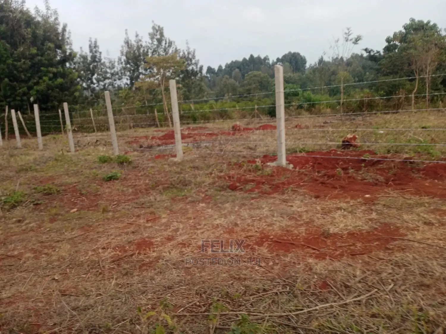Nyeri Marua/Neighboring Bantu Africa Quarter Plots