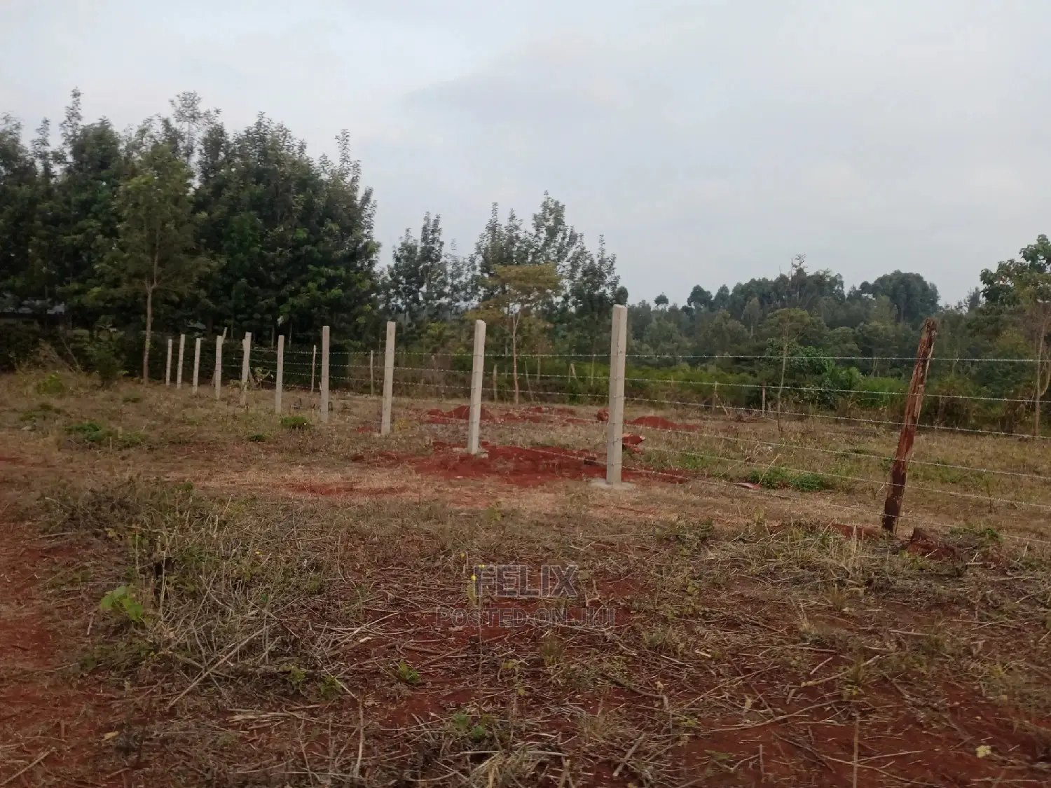 Nyeri Marua/Neighboring Bantu Africa Quarter Plots