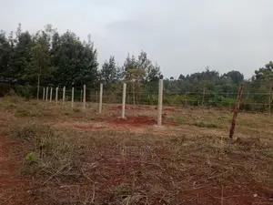 Nyeri Marua/Neighboring Bantu Africa Quarter Plots