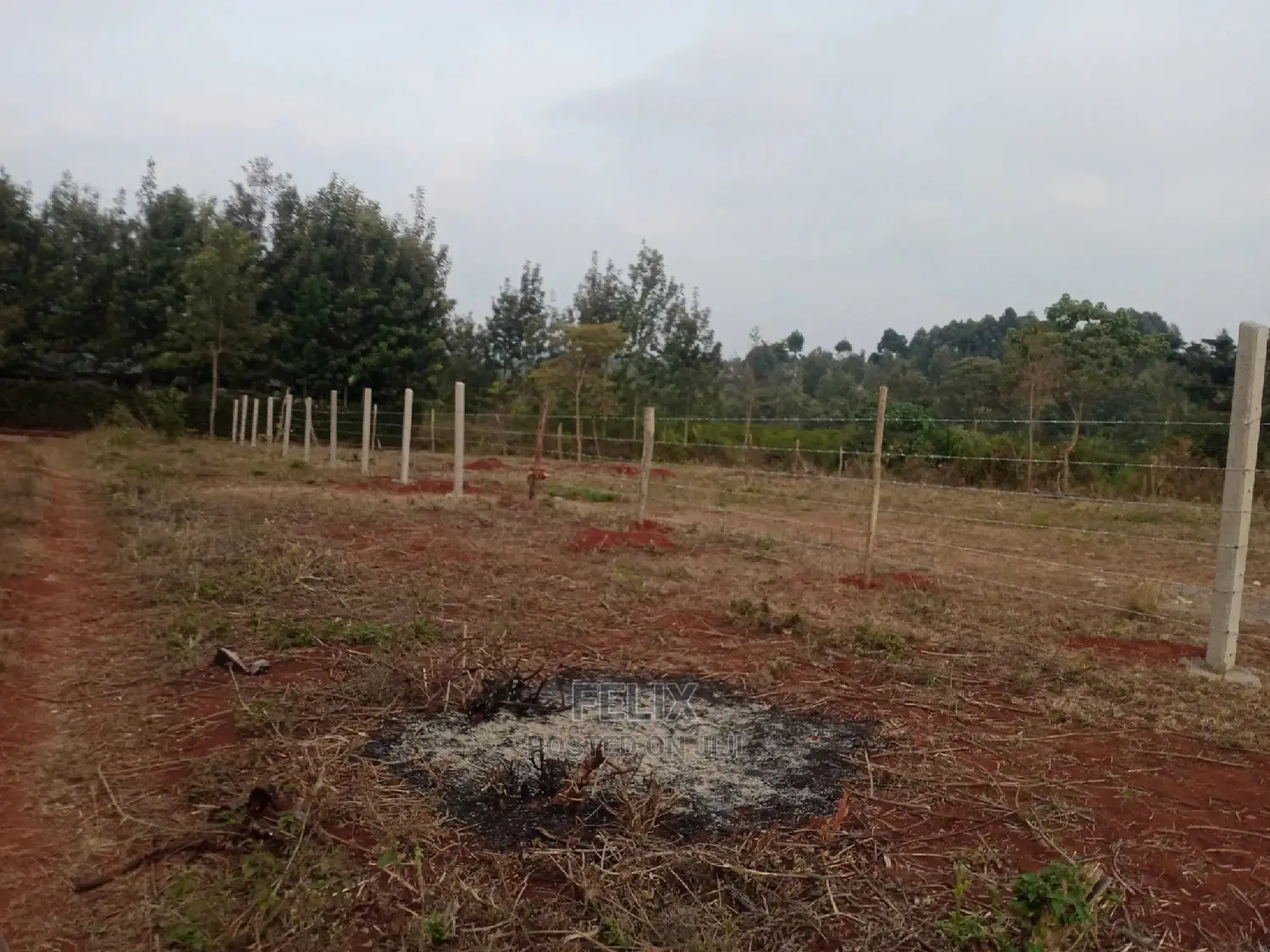 Nyeri Marua/Neighboring Bantu Africa Quarter Plots