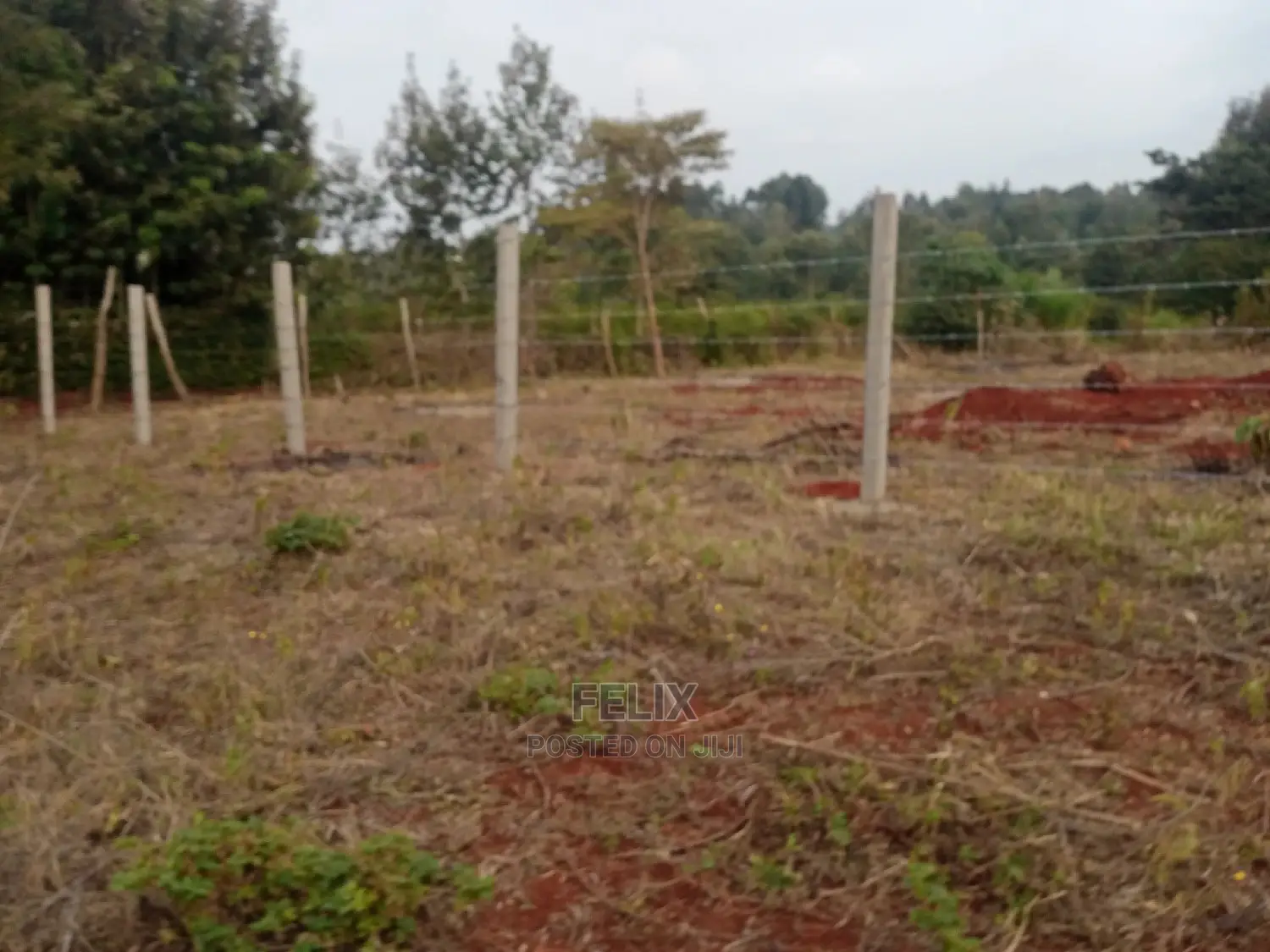 Nyeri Marua/Neighboring Bantu Africa Quarter Plots