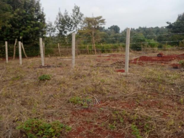 Nyeri Marua/Neighboring Bantu Africa Quarter Plots - thumbnail 5
