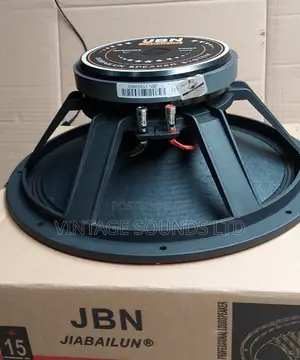 JBN 15inch Naked Speaker