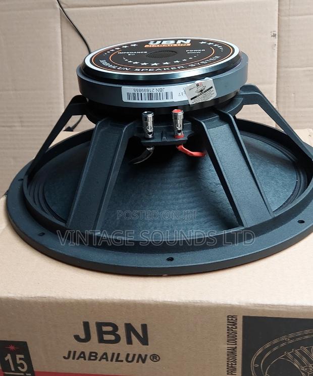 JBN 15inch Naked Speaker - main view