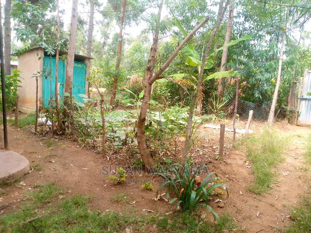Plot With House for Sale in Bungoma - thumbnail 5