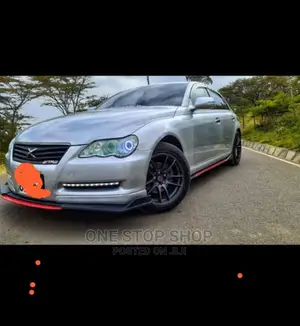 Car Fitted With Side Skirts and Bumper Lip