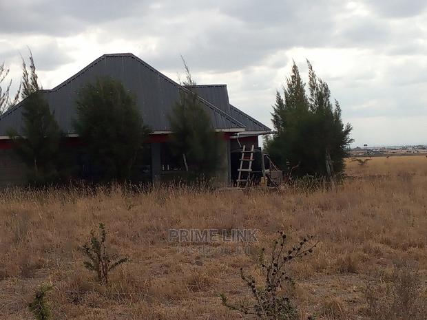 Joska - Sunshine Plots - thumbnail 7