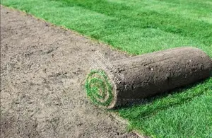 Arabic Grass Rolls for Sale