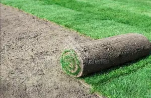 Arabic Grass Rolls for Sale