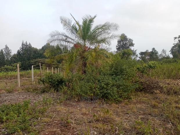 Plots on Sale Ndurutu/Kericho - thumbnail 4