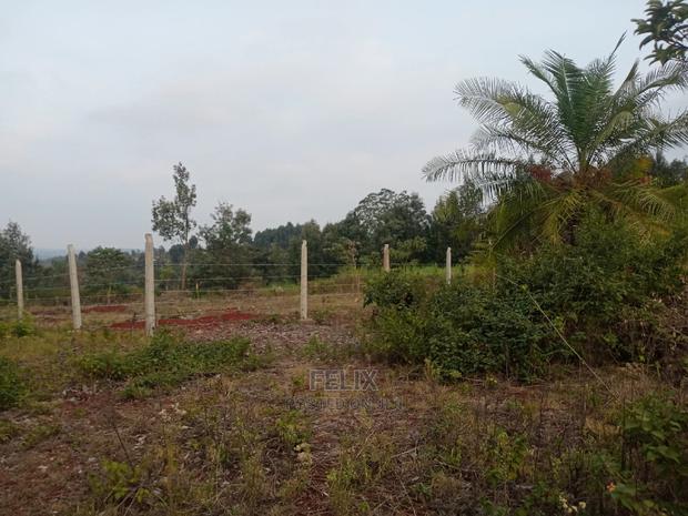 Plots on Sale Ndurutu/Kericho - thumbnail 5