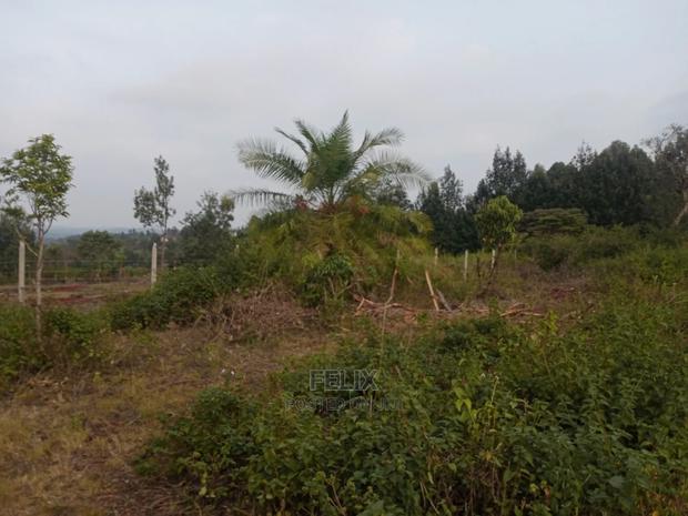 Plots on Sale Ndurutu/Kericho - thumbnail 6