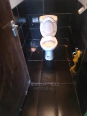 Studio Apartment in Jamhuri for rent