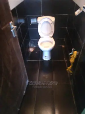 Studio Apartment in Jamhuri for rent