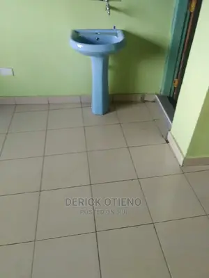 Studio Apartment in Jamhuri for rent