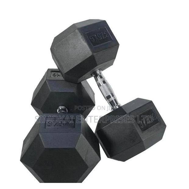 Premium Hex Dumbells - main view