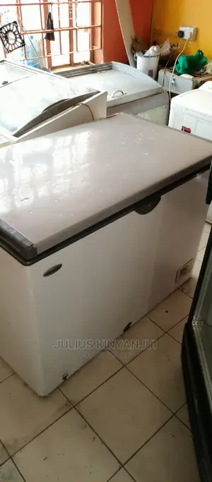 411L West Point Freezer
