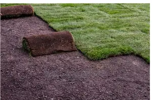 Pemba Grass Rolls For Sale