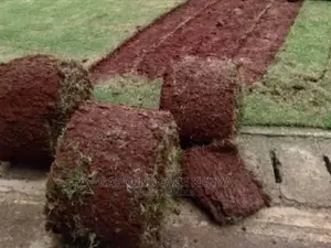 Bermuda Grass Rolls For Sale.