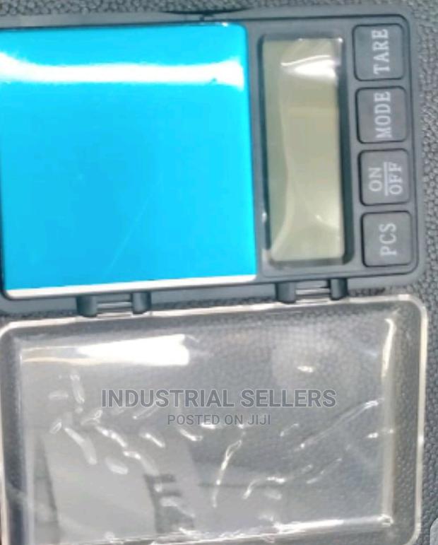 Professional Scale - main view