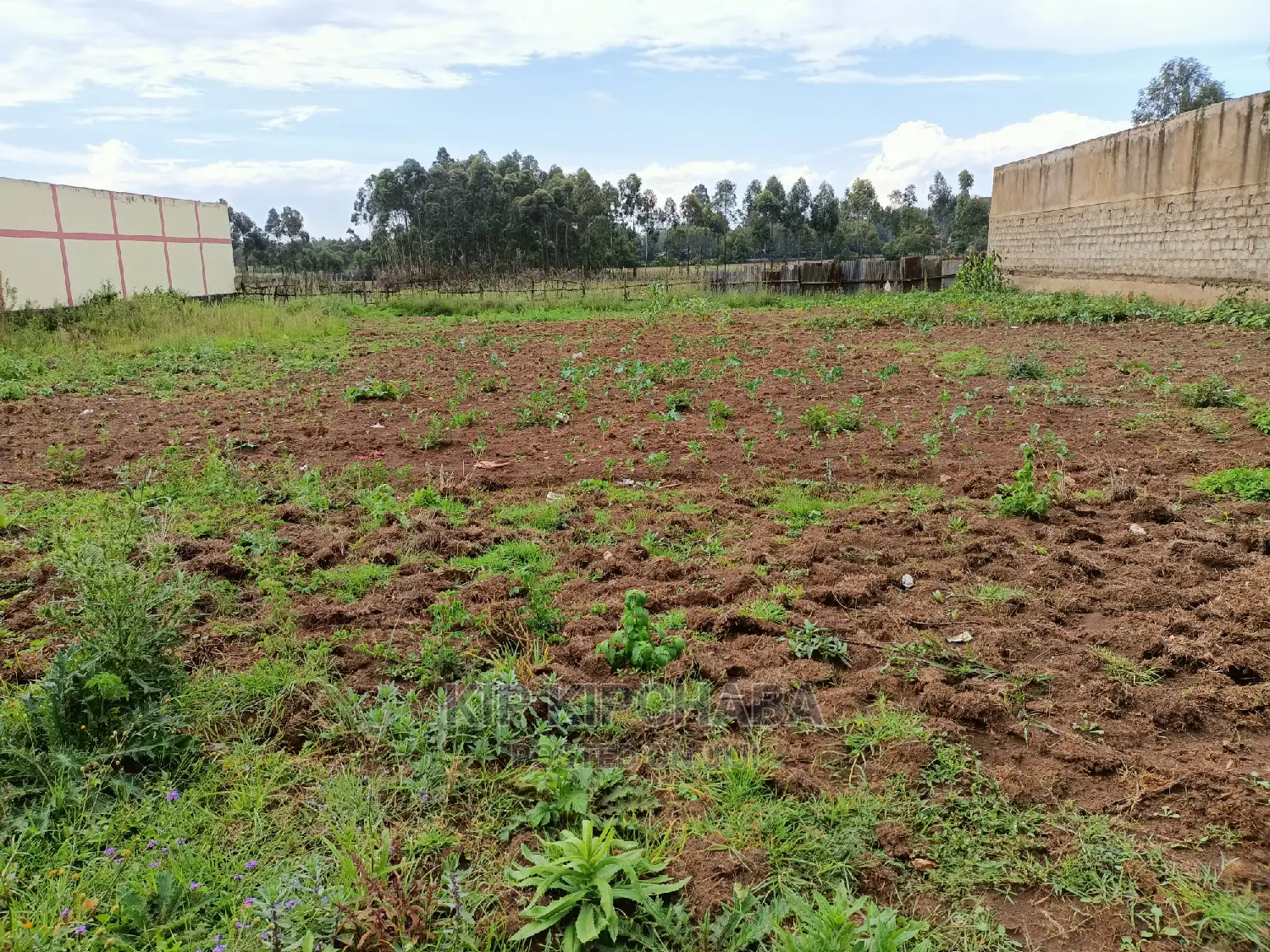 Commercisl 1⁄2 Acre Plot for Sale in Pioneer Eldoret