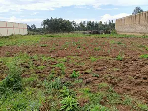Commercisl 1⁄2 Acre Plot for Sale in Pioneer Eldoret