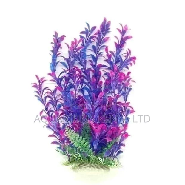 Bulky Branchy Aquarium Plants.Aquarium Accessories