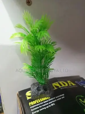 Small Aquarium Plants, Aquarium Accessories