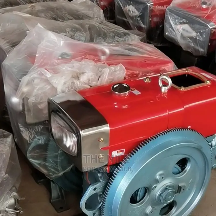 ZS195 Diesel Engine