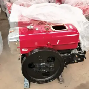ZS195 Diesel Engine