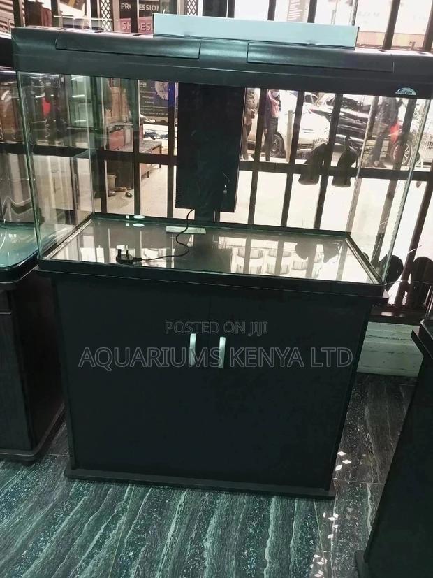 Imported Aquarium Tank 220L - main view
