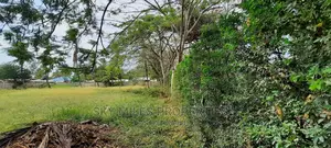 Wall Fenced Half Acre on Sale Mtwapa