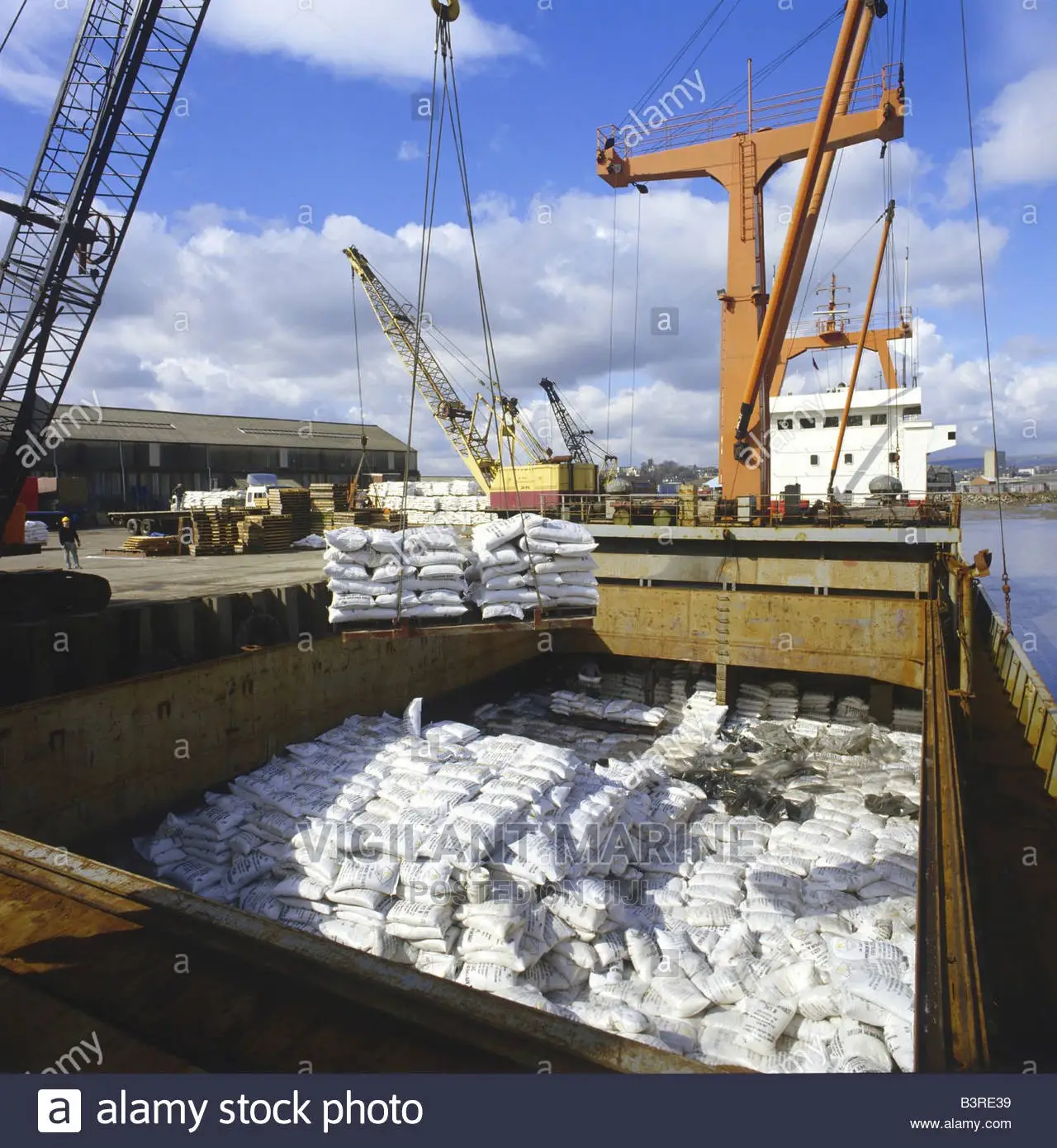 Cargo Marine Surveyors